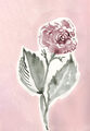 Image Not Available